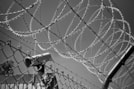 barbed-wire-1670222__340