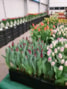 IMG-20220309-WA0004