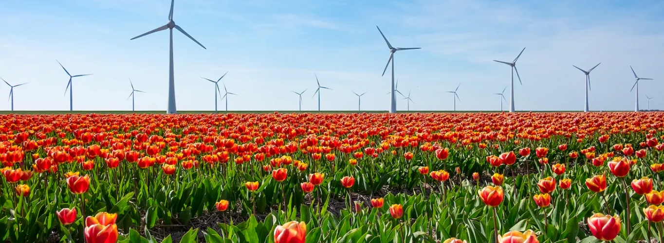 "Noord-Holland Noord, een tuin van innovatie"