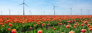 2023-04-03 21_40_05-Noord-Holland Noord als tuin van innovatie - Rabobank
